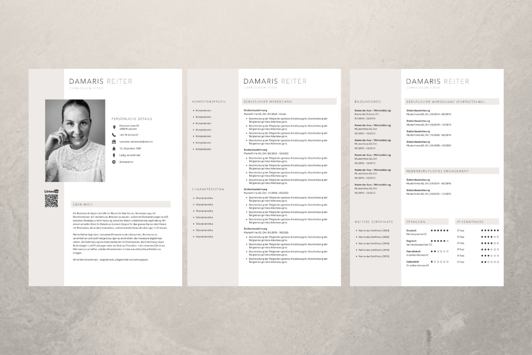 Professioneller Lebenslauf