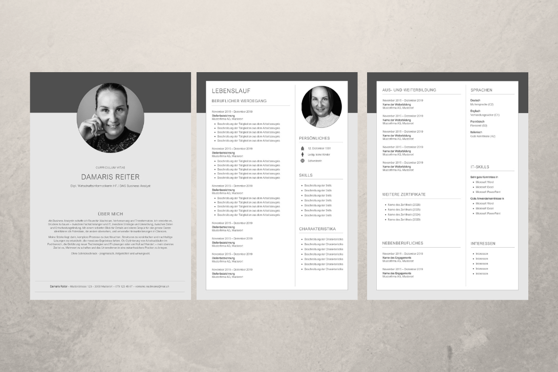 Professioneller Lebenslauf Professioneller Lebenslauf