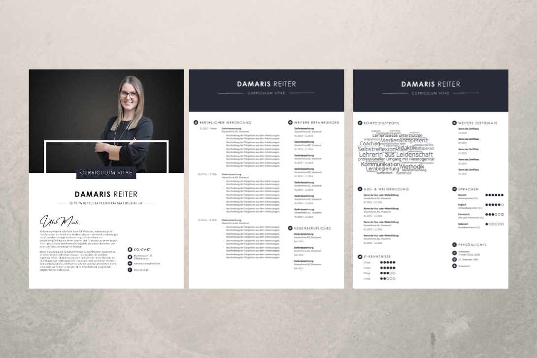 Professioneller Lebenslauf