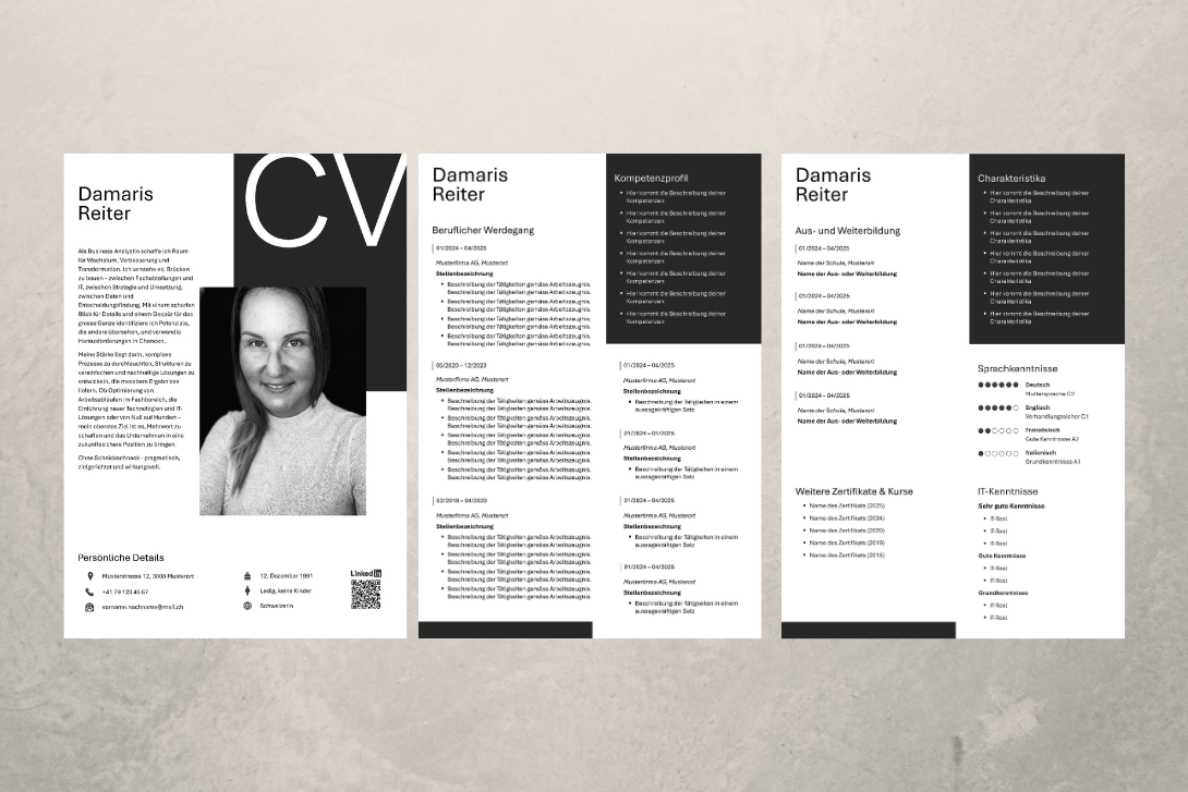 Professioneller Lebenslauf